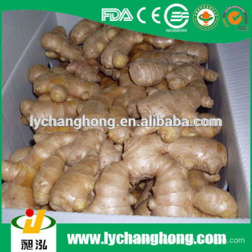 2014 new crop Linyi origin air dried ginger supplier